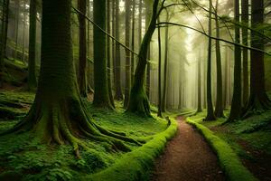 uma caminho através uma verde floresta com árvores e musgo. gerado por IA foto