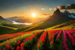 a Sol sobe sobre uma campo do flores dentro a montanhas. gerado por IA foto
