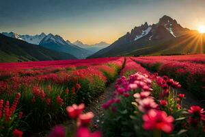 a Sol sobe sobre uma campo do Rosa flores dentro a montanhas. gerado por IA foto