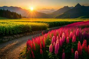 a Sol sobe sobre uma campo do Rosa flores dentro a montanhas. gerado por IA foto