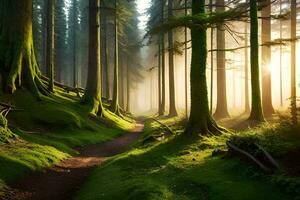 uma caminho através uma floresta com árvores e grama. gerado por IA foto