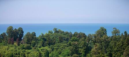 bandeira com verde bosque e mar dentro a distância. foto