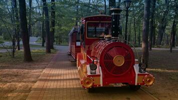 vintage retro vapor locomotiva dentro a parque. foto