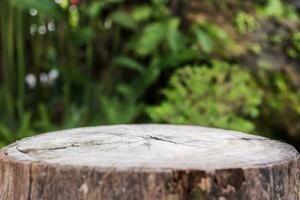 esvaziar velho árvore toco mesa topo com borrão verde tropical jardim fundo para produtos exibição foto