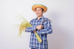 ásia agricultor dentro uma listrado camisa segurando uma foice e colheita arroz grãos em uma branco fundo. foto