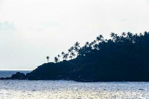 lindo paraíso tropical de praia ondas Palmeiras mirissa de praia sri lanka. foto