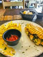 baguete sanduíche torrada pão com frango tomate salada batatas fritas. foto