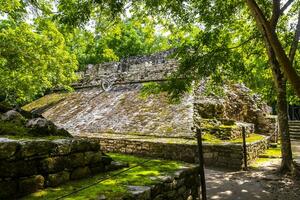 coba Maya ruínas antigo edifícios pirâmides dentro tropical selva México. foto