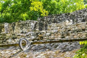 coba Maya ruínas antigo edifícios pirâmides dentro tropical selva México. foto