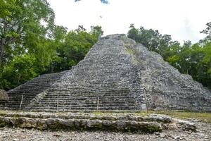 coba Maya ruínas nohoch mul pirâmide dentro tropical selva México. foto