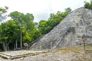 coba Maya ruínas nohoch mul pirâmide dentro tropical selva México. foto