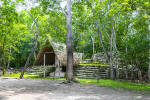 coba Maya ruínas antigo edifícios pirâmides dentro tropical selva México. foto