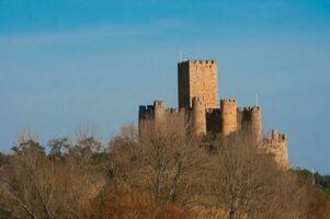 imagem do almourol castelo, dentro Portugal foto