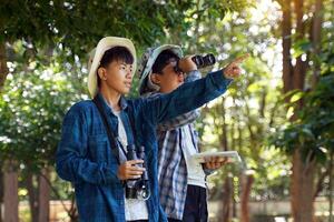 meninos asiáticos usam binóculos para observar pássaros em uma floresta comunitária própria. o conceito de aprendizagem a partir de fontes de aprendizagem fora da escola. foco no primeiro filho. foto