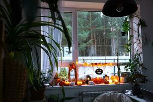 festivo decoração do a casa em a peitoril da janela para dia das Bruxas dentro interior com caseiro em vaso plantas- abóboras, jack o lanternas, crânios, esqueletos, velas e festão - acolhedor e Terrível humor foto