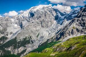 lindo montanha localizado dentro a ortles grupo Stelvio nacional parque foto