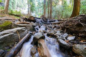 uma cascata fluindo através uma floresta com pedras e árvores foto