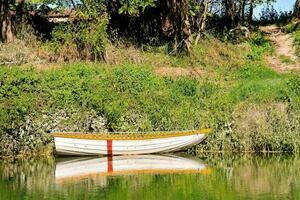 uma barco a remo é sentado em a costa do uma lago foto