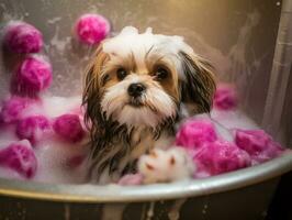 sereno cachorro desfrutando uma massagem às uma animal spa ai generativo foto