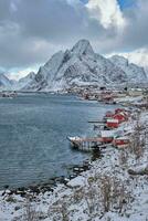 reinar pescaria Vila, Noruega foto