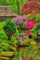 japonês jardim, parque Clingendael, a Haia, Países Baixos foto