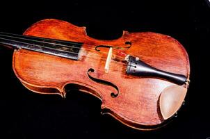 uma violino em uma Preto fundo foto