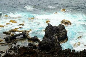 a rochoso costa do a galápagos ilhas foto