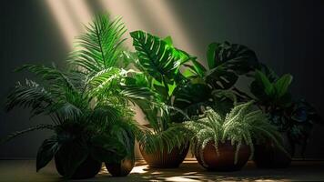 uma em vaso plantar senta em uma janela peitoril gerado com ai foto