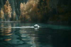 polar Urso lago nadar frio água. gerar ai foto