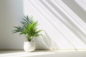 tropical plantar com transparente embaçado sombra dentro manhã claro. ai generativo foto