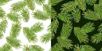 abeto árvore galhos desatado padrão, pinho filial, Natal coníferas isolado em branco e verde fundo foto