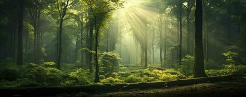 verde floresta árvores com Sol raio fundo, generativo ai foto