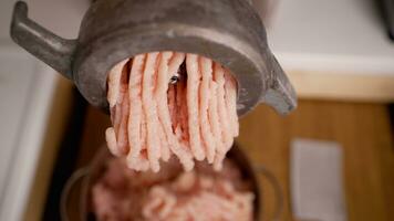 frango filé dentro uma carne moedor. cozinhando picado frango filé com uma família elétrico carne moedor. foto