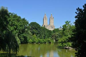 central park em nova york foto