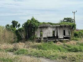 velho abandonado de madeira casa dentro a floresta foto