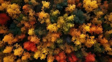 ai gerado floresta folha dourado flora deslumbrante ai gerado foto