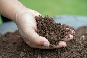 mão segurando a matéria orgânica de turfa melhoram o solo para o cultivo de plantas orgânicas agrícolas, conceito de ecologia. foto