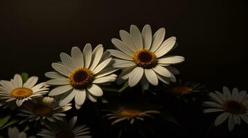 ai generativo lindo margarida flor ou Bellis perennis eu, ou compositae florescendo dentro a parque durante luz solar foto