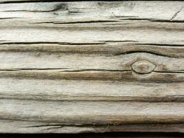 de madeira pranchas textura fundo foto