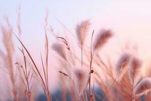 suave suavemente vento Relva flores dentro estético natureza do cedo manhã enevoado céu fundo. quieto e calma imagem dentro mínimo zen humor. Primavera natureza dentro pastel tom. generativo ai. foto