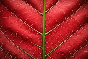 abstrato vermelho listrado do folhagem a partir de natureza, detalhe do folha texturizado fundo. generativo ai. foto