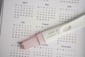 gravidez teste para fêmea do ovulação dia, feto, maternidade, parto, nascimento ao controle. foto