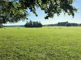 uma Visão do a Cheshire campo perto Knutsford em uma ensolarado dia dentro outono foto