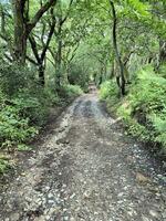 uma vista da zona rural de cheshire em peckforton hills foto