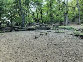 uma vista da zona rural de cheshire em peckforton hills foto