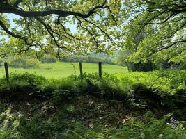 uma vista da zona rural de cheshire em peckforton hills foto