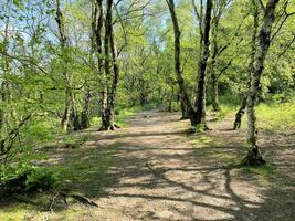 uma vista da zona rural de cheshire em peckforton hills foto