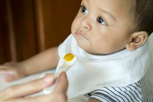 comendo a partir de colher do seis mês ásia bebê foto