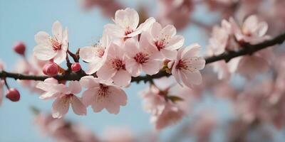 uma realista uma fechar acima do uma cereja Flor árvore ai gerado foto