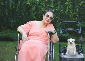 ásia Senior mulher sentado em cadeira de rodas com chihuahua cachorro dentro animal carrinho de criança dentro a jardim. foto